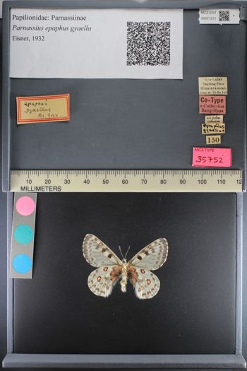 Media type: image;   Entomology 71211